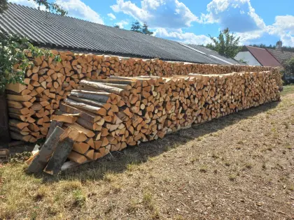 Brennholz (Buche)