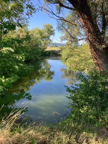 Grundstück mit stehenden Gewässern (Teich) zu verpachten