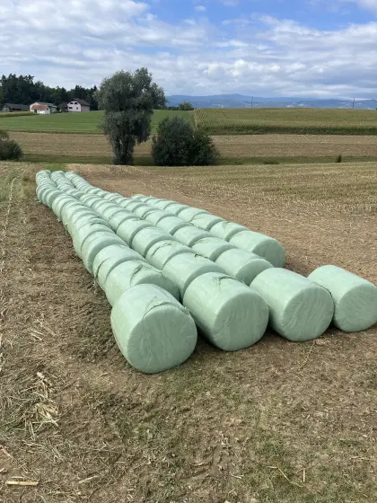 Maisballen