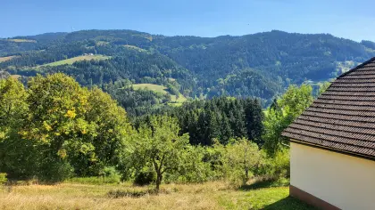 Außergewöhnlicher Bauernhof in Ruhelage mit Wald in Lavamünd