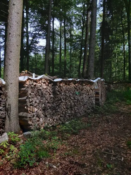 Scheitholz, Brennholz