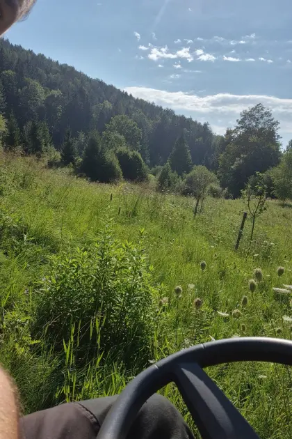 8605 Kapfenberg Futterwiese zum Mähen ca. 6.000 m²