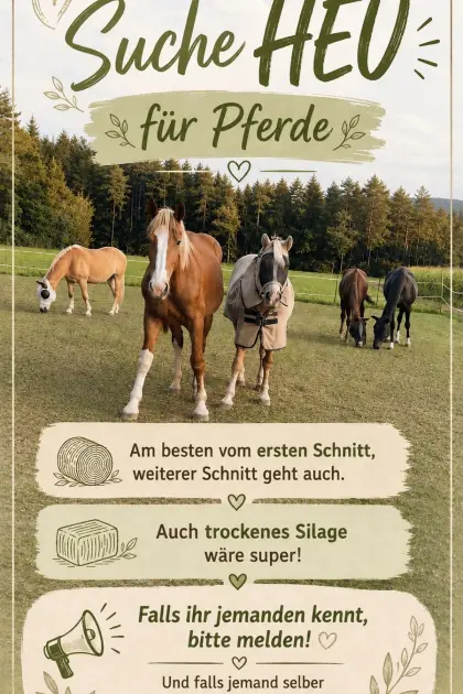 Suche Heu