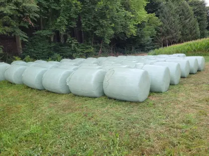 Maisballen