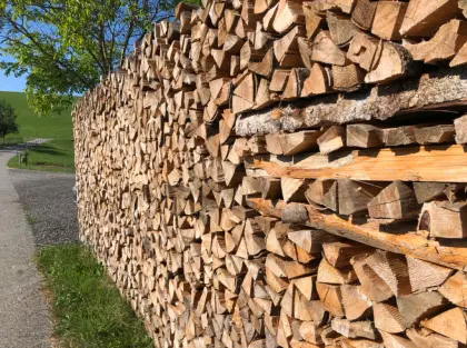 Brennholz Fichte