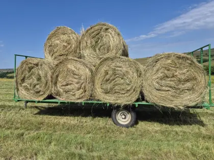 Heuballen zu verkaufen