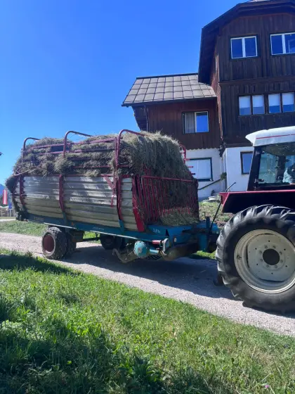 Ladewagen Steyr Hamster 803