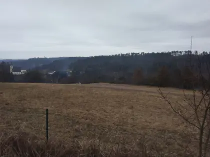 9.540 m² große Wiese in Drosendorf Stadt/NÖ mit Entwicklungsp.