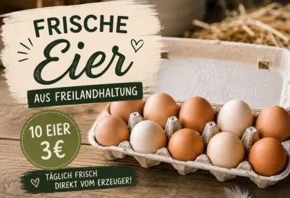 Freilandeier