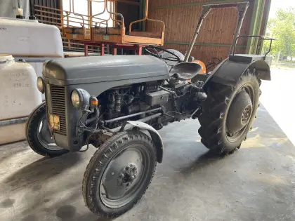 Oldtimer Massey Ferguson TE-D 25 PS Bj. 1956