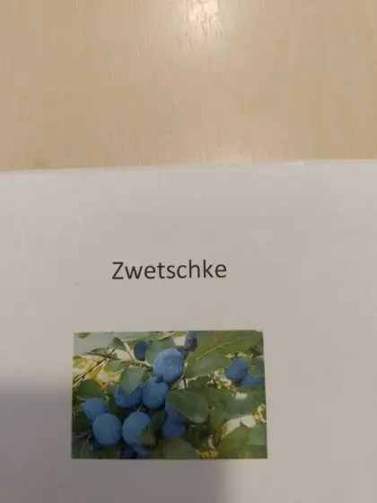 Schnaps