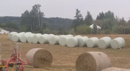 Heulage, Gärheu, Silageballen