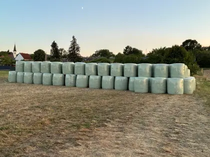 Mais-Siloballen zu verkaufen