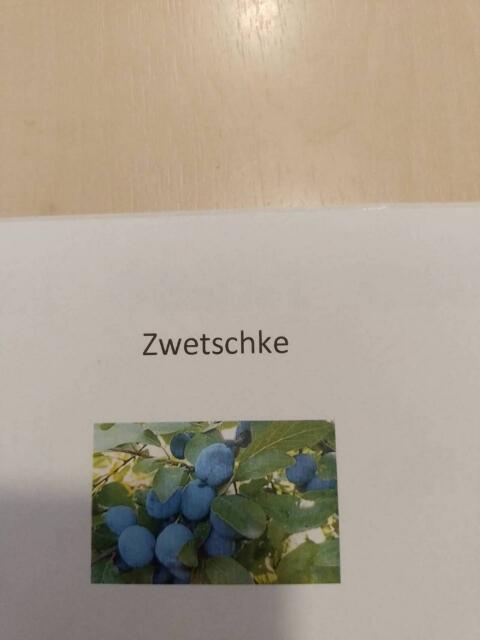 Schnaps