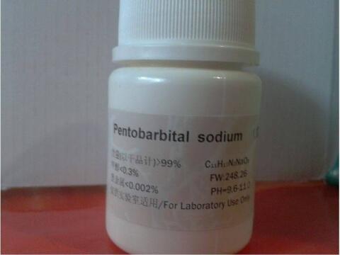 Qualität 2026: Nembutal, Reisepässe, Ritalin usw.