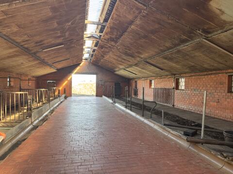Stallgebäude ca. 250 m² zu verpachten, massiv, Ziegel