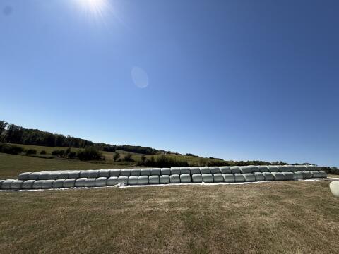 Maissilage-Rundballen