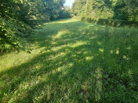 Gras selbst mähen