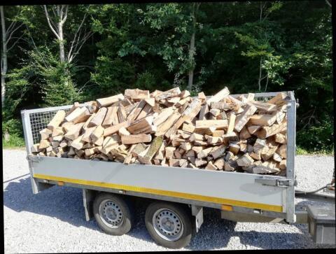 Brennholz trocken in 33 Buche