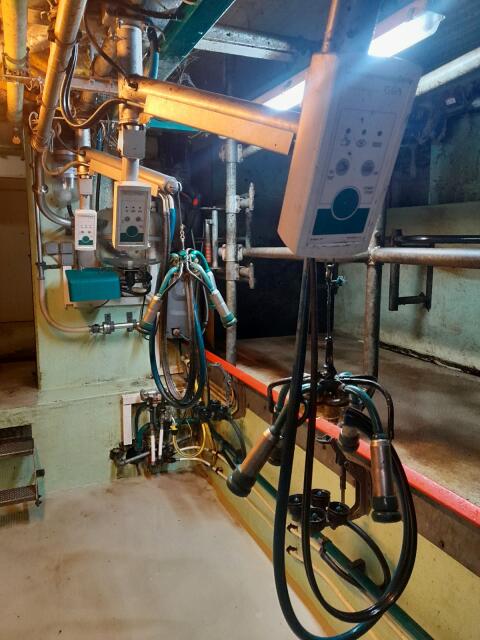 GEA Swing-Over-Melkstand 2 x 5