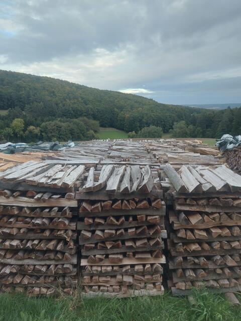 Brennholz Buche