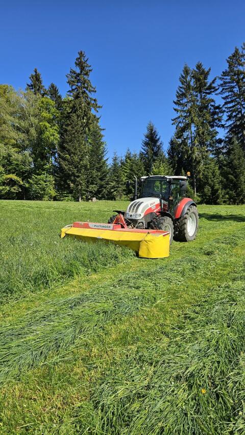 Suche Grassilage