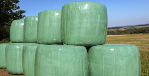 Silageballen