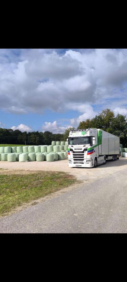 Klee-Luzerne-Silage, Bio, Ernte 2026