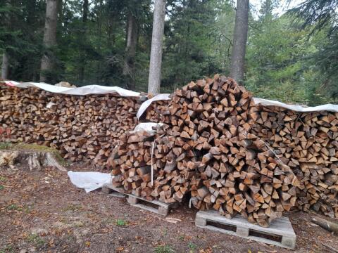 Verkaufe Brennholz, hart.