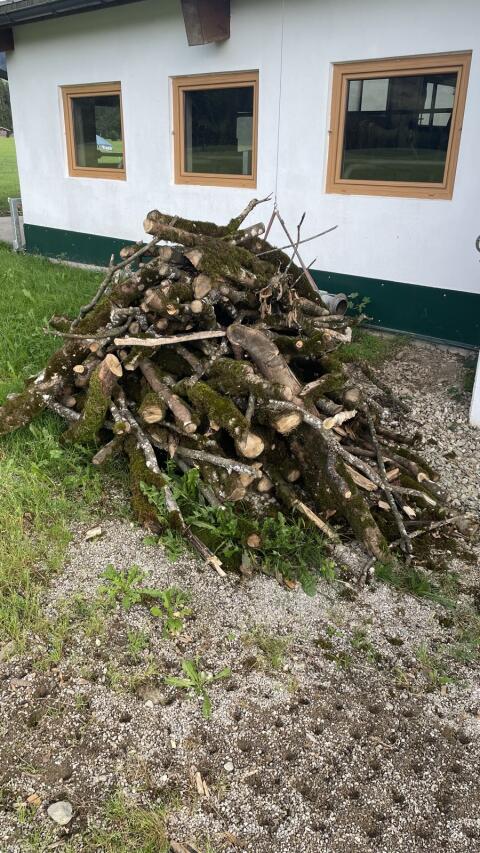 Holz, Brennholz
