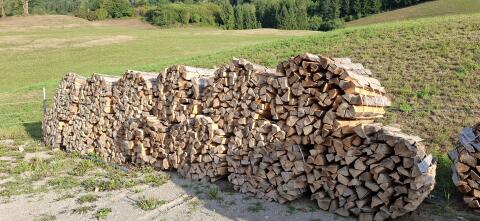 Buche-Brennholz
