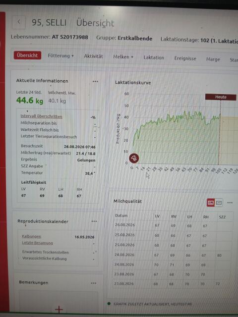45 und 40 l Holstein-Kuh