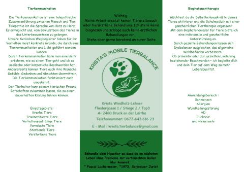 Ganzheitliche Unterstützung für dein Tier
