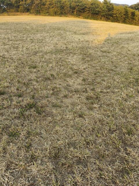 Kaufe Silageballen von Begrünung 2027