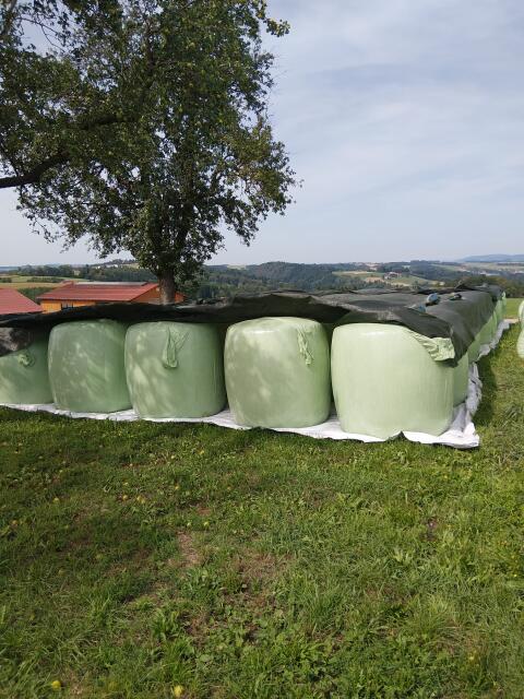 Silomaisballen