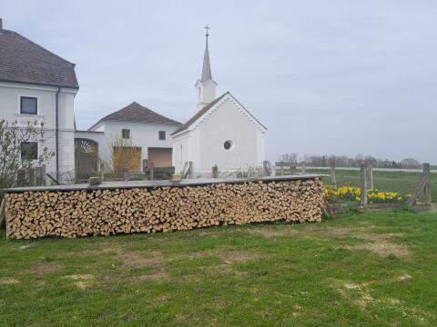 Brennholz
