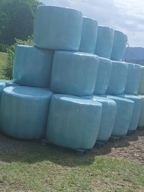 Maissilage Rundballen