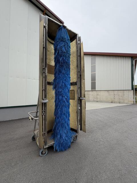 Mobile Waschanlage, Waschbürste