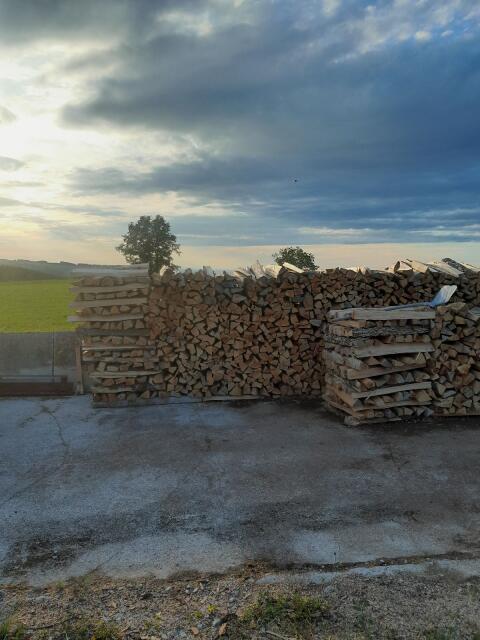 Brennholz