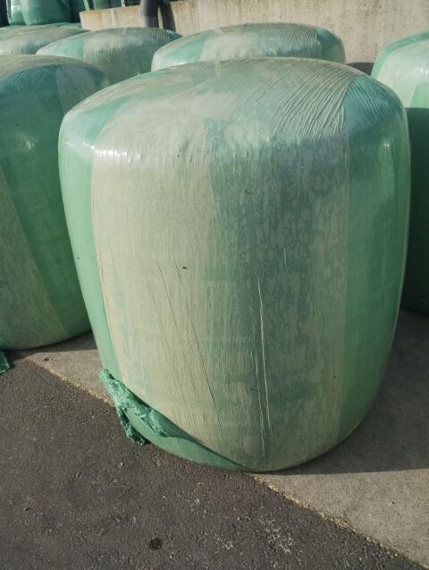 Silomaisballen, Umstellerware