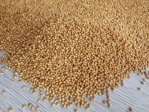 Millet high purity 99,9