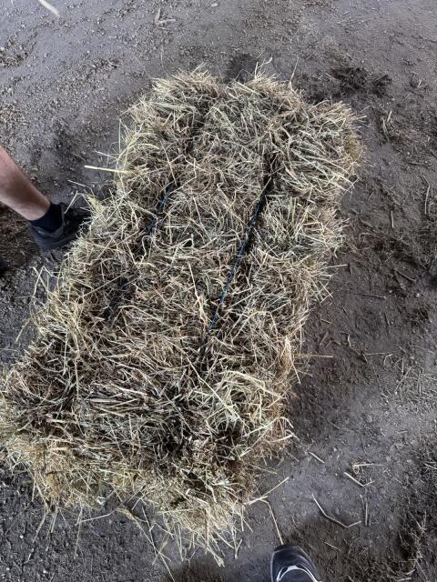 Kleine Quaderballen, 20 kg, 1. Schnitt