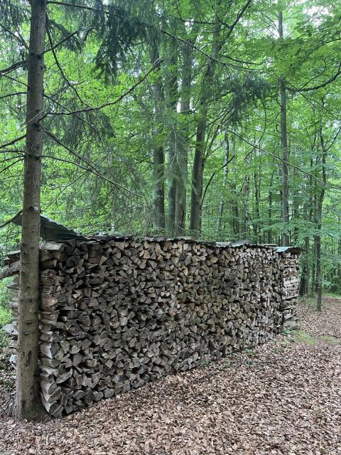 12 m trockenes Buchen-, Eichenholz zu verkaufen