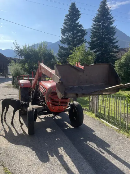 Suche Heugabel für Frontlader Steyr T188