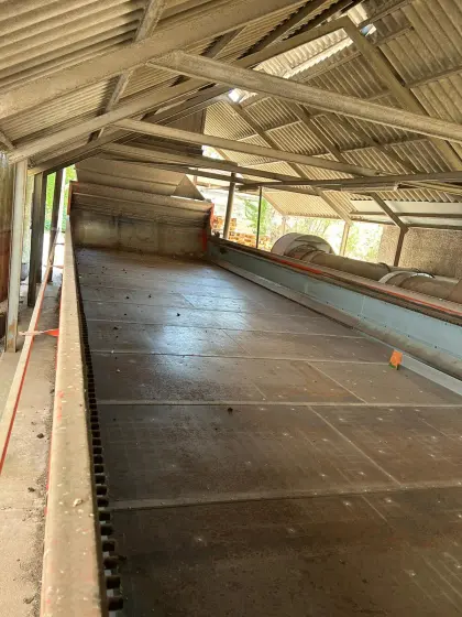 Trocknungsanlage Goldsaat