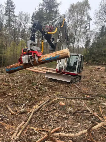 Forstbagger, Harvester Takeuchi TB290-2