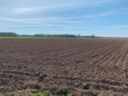 Privatverkauf: Acker