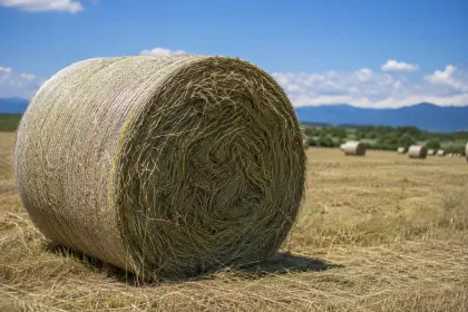 8200