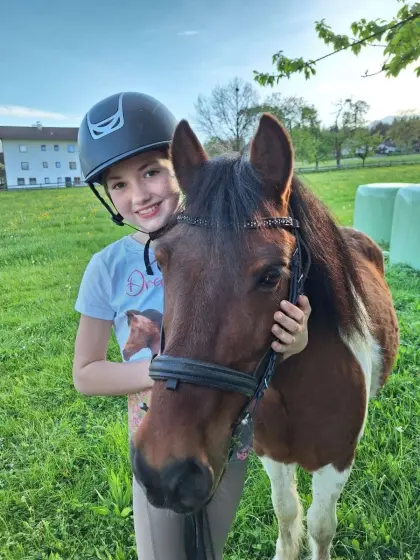 Bildhübscher Ponywallach zu verkaufen