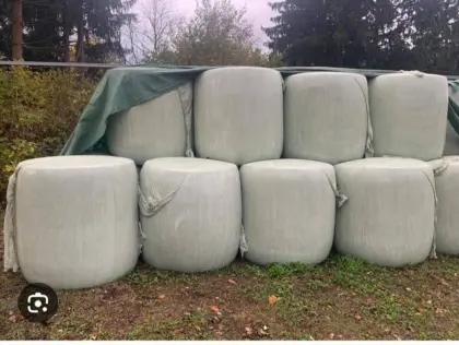 Verkaufe Maisballen